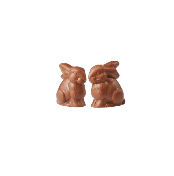 R017 Gabin et Quentin lait 30 g net